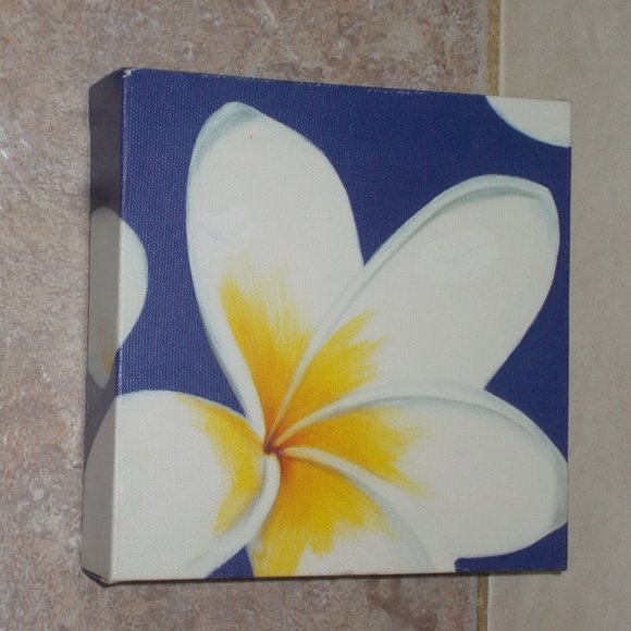 Floral art on stretched canvas, 6"x6"x1.5".  Ready to mount. - Picture 2 of 5